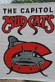 Mudcats-Indians